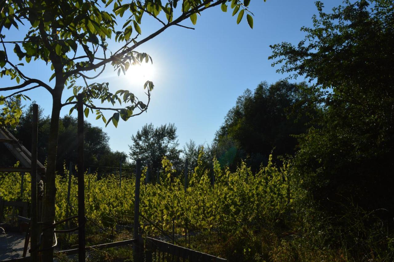 Natuurlijk Genieten Bemmel Exterior foto